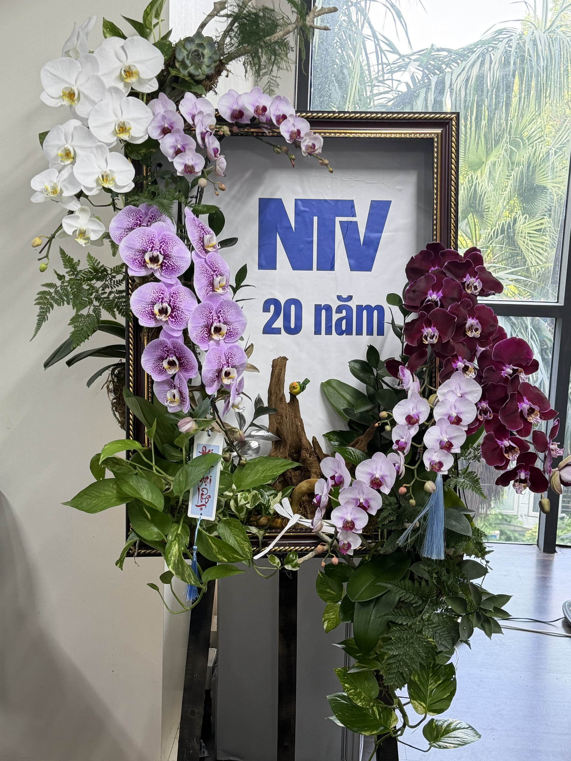 Chúc mừng 20 năm ngày thành lập Công ty (22/09/2006-22/09/2026)